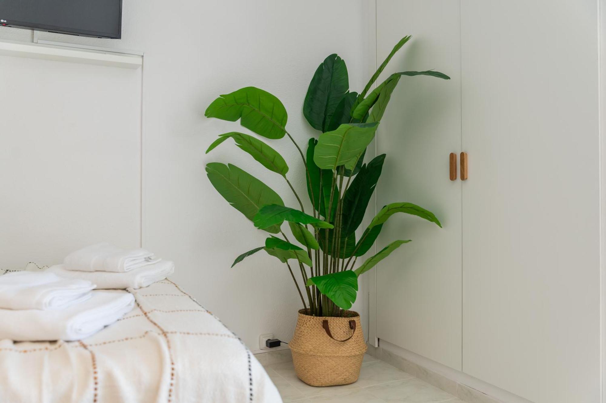 Ambar Appartement Benalmádena